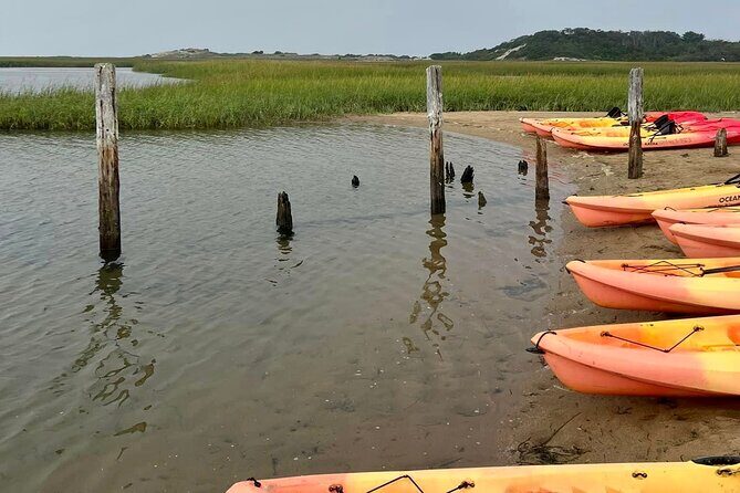 National Seashore Tour with Guided Hike - The Itinerary in Detail: What You Can Expect