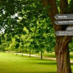 Natural History Museum e Kensington Garden - Exploring Kensington Gardens and Hyde Park