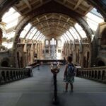 Natural Museum: Diplodocus to Blue Whale Wonders - The Highlights: What Youll See and Why It Matters