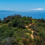 Nature Adventure with Private Transport to Waterfall and more! - What’s Included and Why It Matters