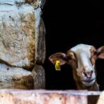 Nature Highlights Private Walking Tour with Transport - What We Think