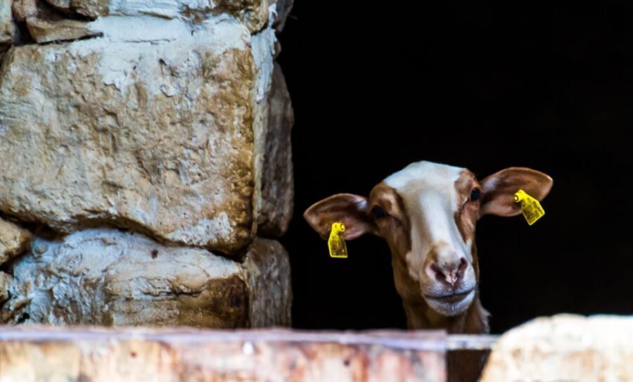 Nature Highlights Private Walking Tour with Transport - What We Think