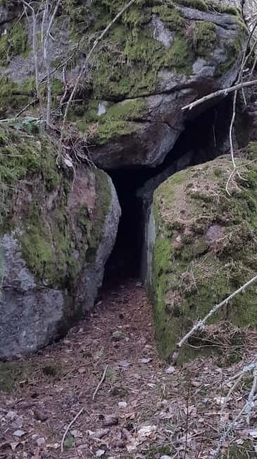 Nature Hike from Stockholm - Why This Tour Is Worth Considering