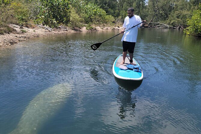 Nature Stand Up Paddle Boarding Experience in Miami - The Guide and Group Dynamics