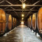 Nature, Wines and Ceramic Tiles: Private Tour - Frequently Asked Questions