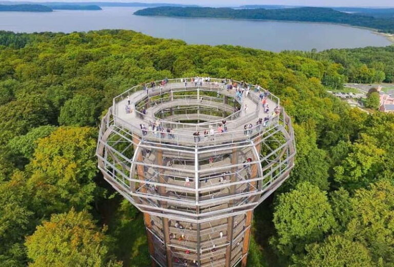 Naturerbe Zentrum Rügen & Treetop Walk Experience - Who Should Consider This Experience?
