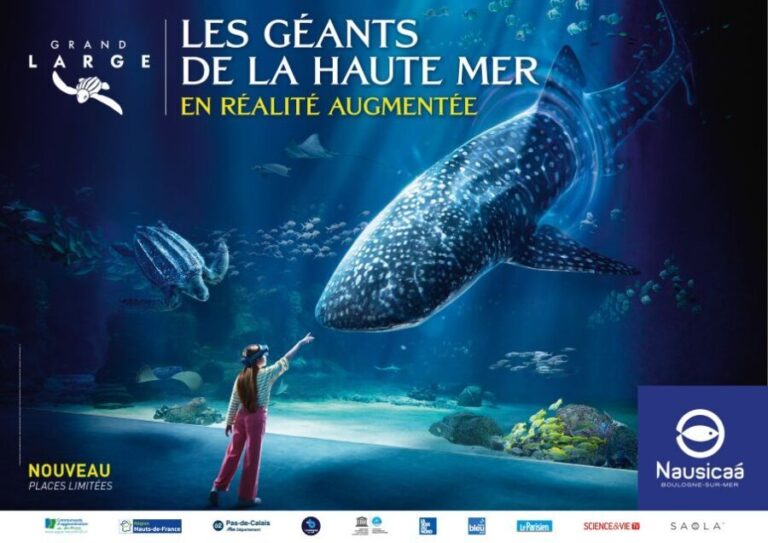 Nausicaá National Sea Center: Full-Day Entry Ticket - Is It Worth the Price?