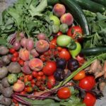 Naxos: Cheese and Wine Tasting with Mountain Views - What to Expect During the Tour