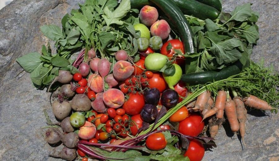 Naxos: Cheese and Wine Tasting with Mountain Views - What to Expect During the Tour