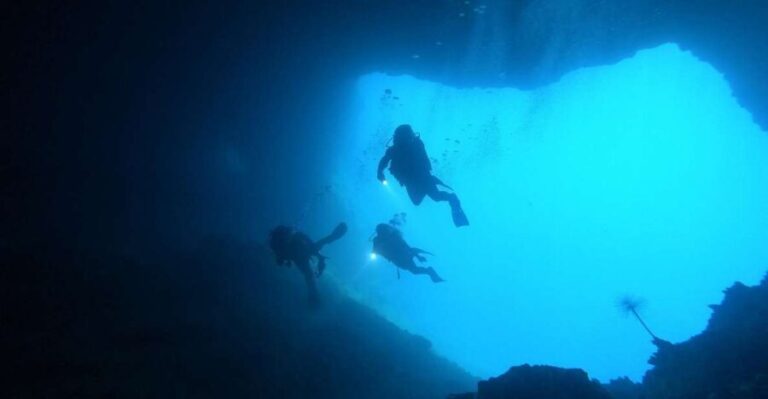 Naxos: Discover Scuba Dive with Nima Dive Center - The Underwater Experience