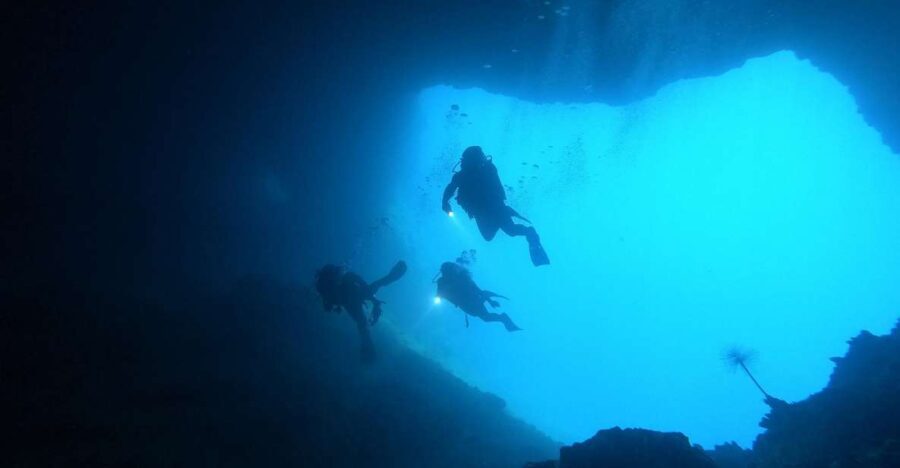 Naxos: Discover Scuba Dive with Nima Dive Center - The Underwater Experience