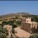 Naxos: Historic Olive Press & Shepherd Cheese Tour - Who Will Love This Tour?