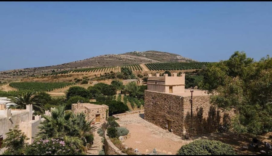 Naxos: Historic Olive Press & Shepherd Cheese Tour - Who Will Love This Tour?