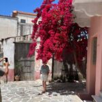 Naxos: Island Tour with Private Car and Driver - Key Points