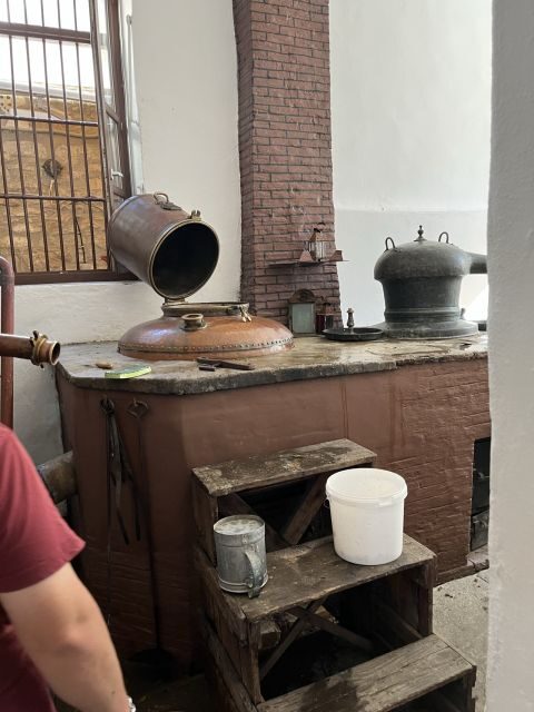 Naxos: Private E-Bike Tour with Wine Tasting Inland Methexis - What Could Be Better