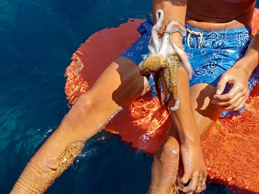 Naxos: Private Fishing Boat Trip with Fresh Onboard Meal - How Much Does It Cost and Is It Worth It?