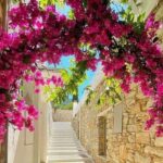 Naxos: Private Full Island 5-Hour Tour - How the Tour Works in Practice