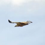 Naxos: Private Mt Zeus Hike  Loop or Out & Back Trail - The Practicalities