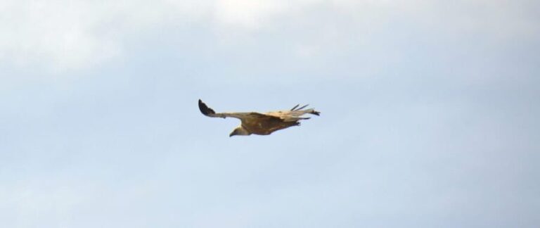 Naxos: Private Mt Zeus Hike  Loop or Out & Back Trail - The Practicalities