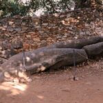 Naxos Private / Semi Private E-Bike Guided Tour Aegean Lush - Is This Tour Right for You?