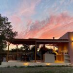 Naxos: private traditional dining in the olive grove - The Setting and Atmosphere