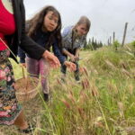 Near Cagliari: Wild Herbs and Healing at "In Our Garden" - The Real Value of This Experience