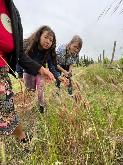Near Cagliari: Wild Herbs and Healing at "In Our Garden" - The Real Value of This Experience