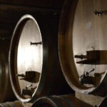 NEIVE: WINERY TOUR AND TASTING OF 5 WINES - An In-Depth Look at the Neive Winery Tour and Tasting