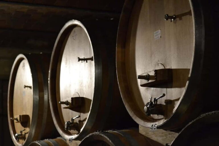 NEIVE: WINERY TOUR AND TASTING OF 5 WINES - An In-Depth Look at the Neive Winery Tour and Tasting