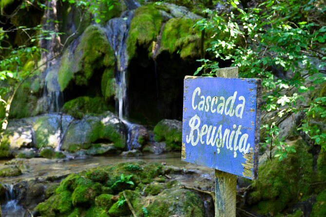 Nera Gorge National Park - Private Day Tour from Timisoara - FAQ