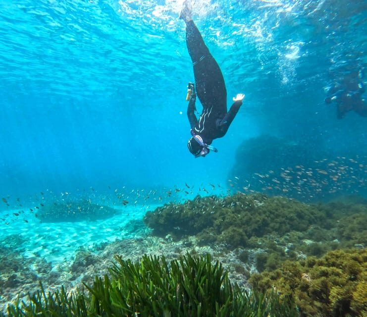 Nerja-Maro: Snorkeling & Sea Scooter - The Experience Itself: What to Expect