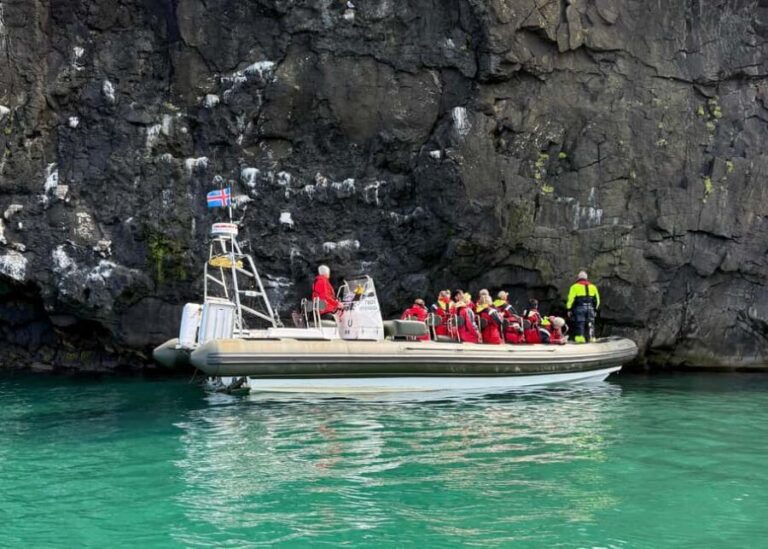 Neskaupstaður: RIB Boat Tour with Drink - The Experience in Detail