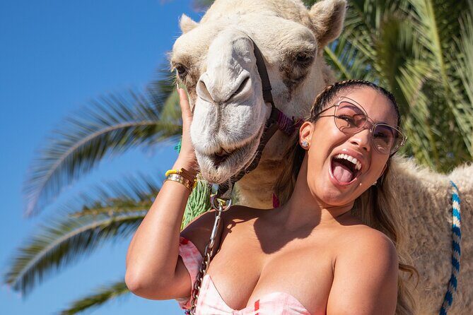 NEW! Combo Camel Beach Ride and UTV 4X4 Cabo Adventure, Tequila & - Transportation and Logistics