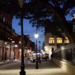New Orleans 5-in-1 Tour Experience - What Some Travelers Say