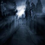 New Orleans History and Hauntings Tour - The Practicalities