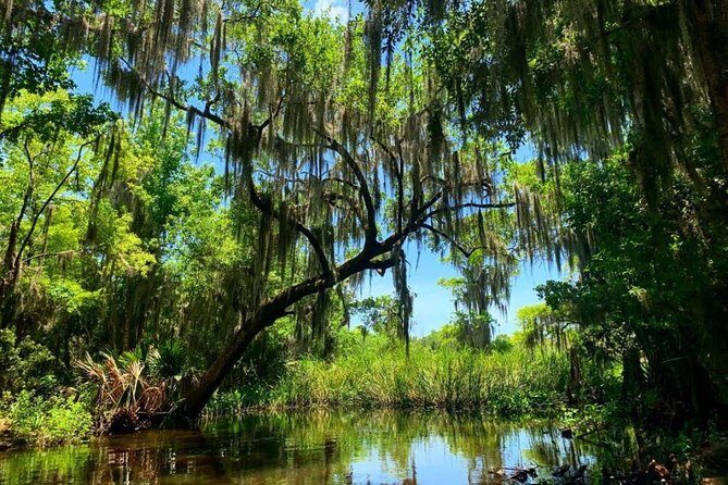 New Orleans Swamp Tour Boat Adventure with Transportation - Who Is This Tour Best For?
