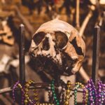New Orleans Voodoo, Ghost, Murder, True Crime and Vampire Tour - Price and Value
