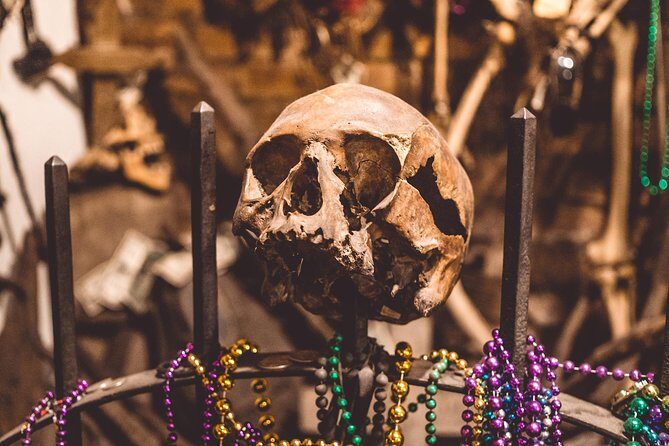 New Orleans Voodoo, Ghost, Murder, True Crime and Vampire Tour - Price and Value
