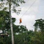 New Orleans Zipline Swamp Tour - Key Points