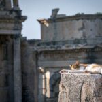 NEW: Private The Most Detailed Ephesus Shore Excursion / with Lunch - A Thorough Breakdown of the Itinerary