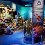 New York Aquarium Admission - Pricing and Value
