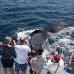 Newport Beach Whale and Dolphin Watching Cruise - The Practicalities: What to Keep in Mind