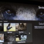 Newton Abbot: Simulator - Final Thoughts