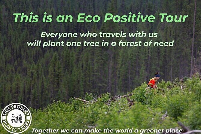 Niagara Falls, Toronto, Philadelphia, DC 5-Day Tour from NYC - Who Will Enjoy This Tour?