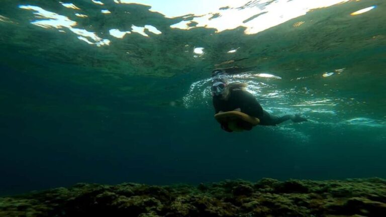 Nice, Cap d'Ail: Sea Scooter Snorkeling Tour - Who Is This Tour Best Suited For?