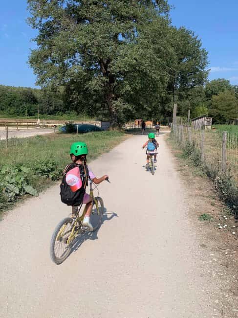 Nice: Discovery tree climbing for children in a natural setting - The Sum Up