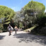 Nice Essentials Guided Electric Bike Tour - What Travellers Are Saying