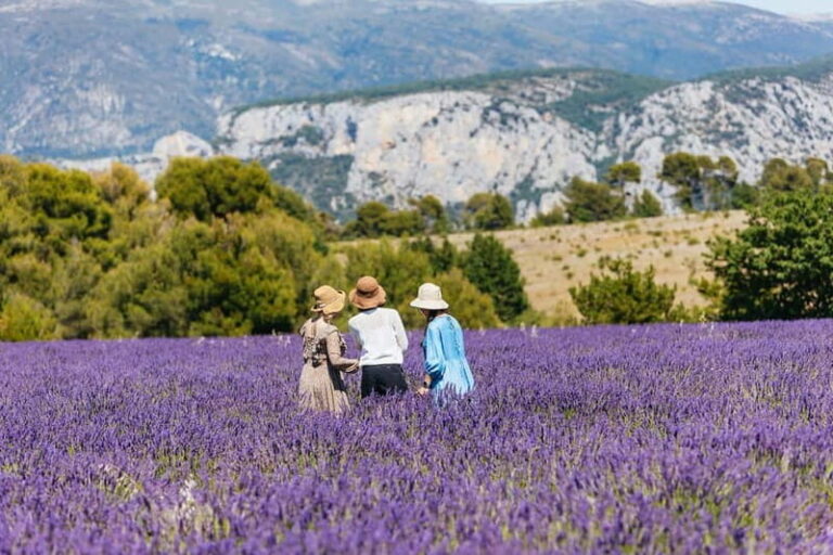 Nice: Gorges of Verdon and Fields of Lavender Tour - Discovering the Verdon Gorge