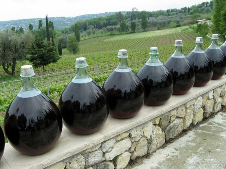 Nice: Half-Day Saint Paul de Vence and Wine Tasting Tour - What’s Included and What’s Not