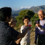 Nice: Vineyard Tour with Wine Tasting - The Practical Details